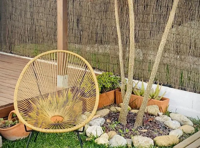 Single Fin Conil קוניל דה לה פרונטרה