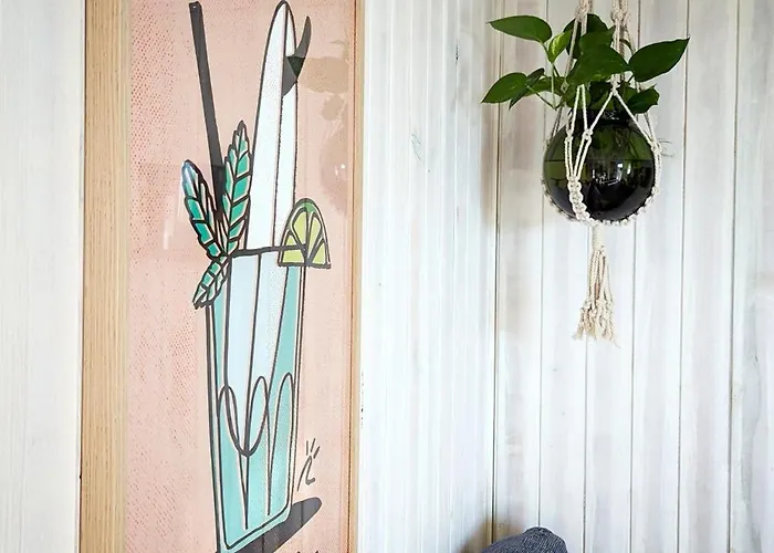 Single Fin Conil קוניל דה לה פרונטרה