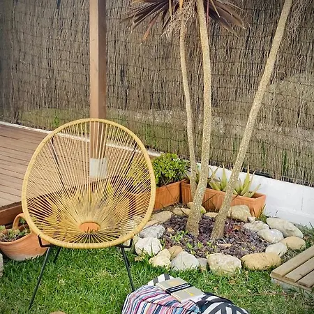 Single Fin Conil Коніль-де-ла-Фронтера