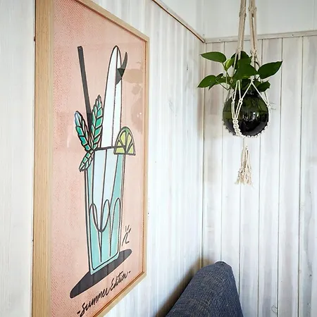 Single Fin Conil Коніль-де-ла-Фронтера