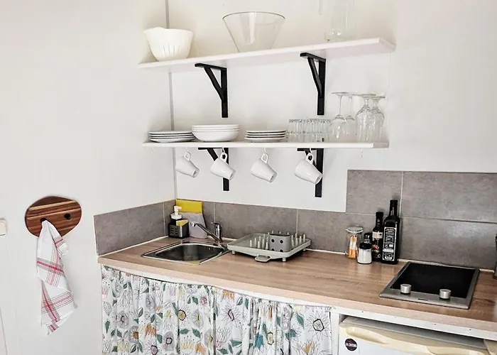 Single Fin Conil Conil De La Frontera