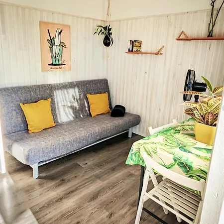 Ferienhaus Single Fin Conil *